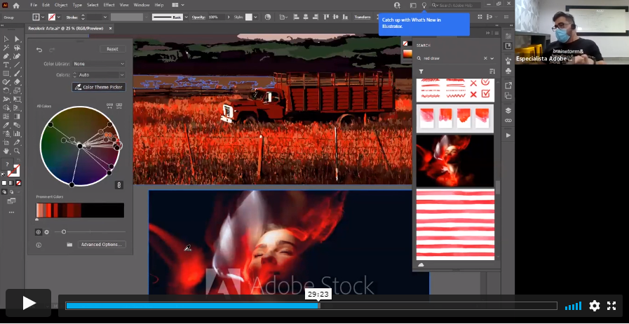 Exemplo de ferramenta "Recolorir Imagem" durante o webinar